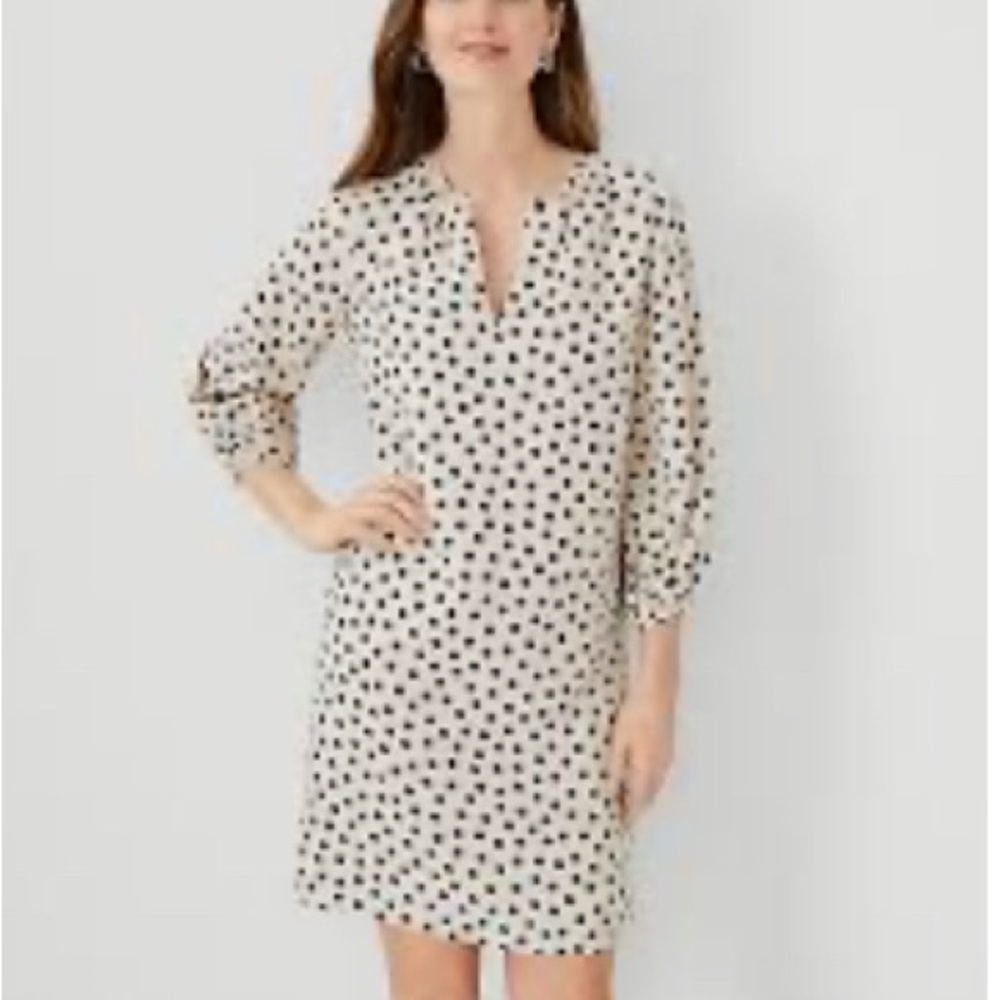 Ann Taylor Dot split neck Dress with Pockets